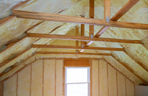 Best Geographic-Specific Insulation Services in North Hornell, NY