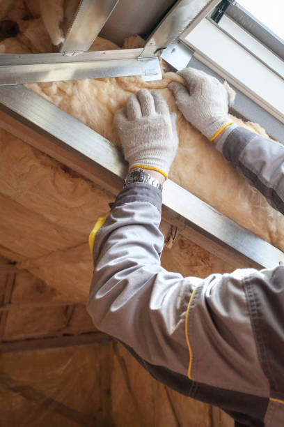 Best Energy Efficiency Insulation in North Hornell, NY
